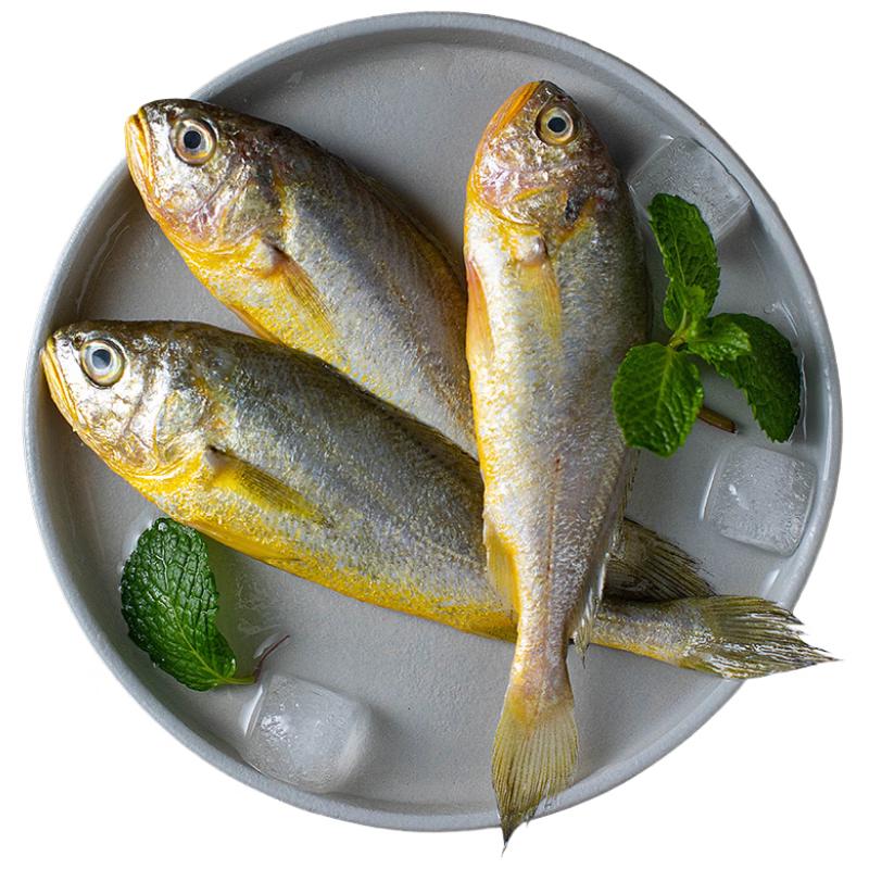 Frozen East China Sea Small Yellow Croaker