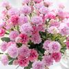 5 forks 15 heads small carnation for wedding arch decor christmas Garland accessories home Floral Arrangement artificial flowers