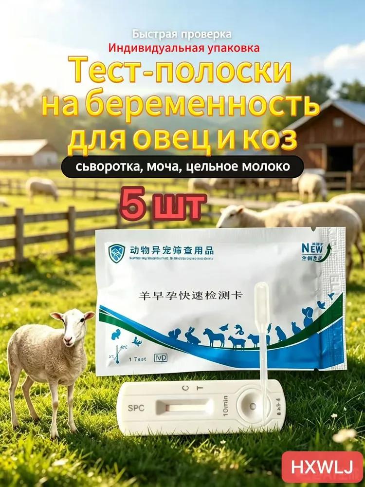 Livestock Test Obstetric Assistant