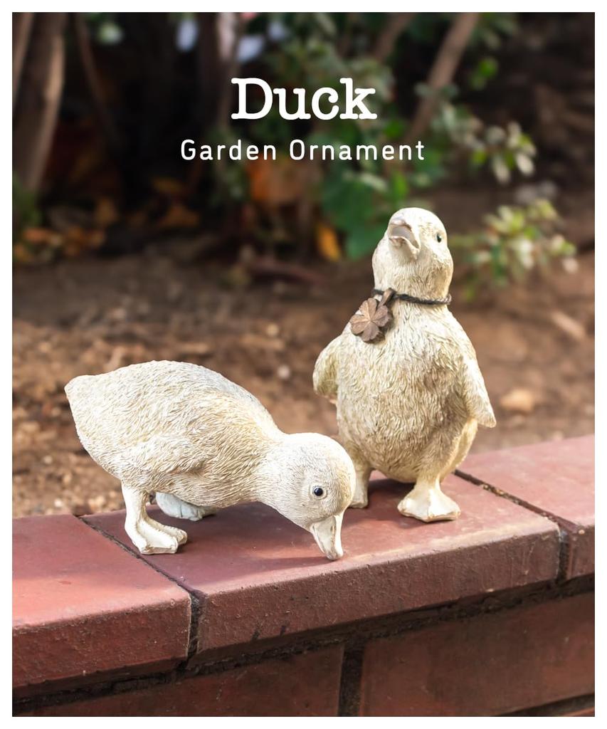 Duck Bird Garden Decorative Cute Set of 2 for Ornament, Figurine, Item, White, (Perfect Children)