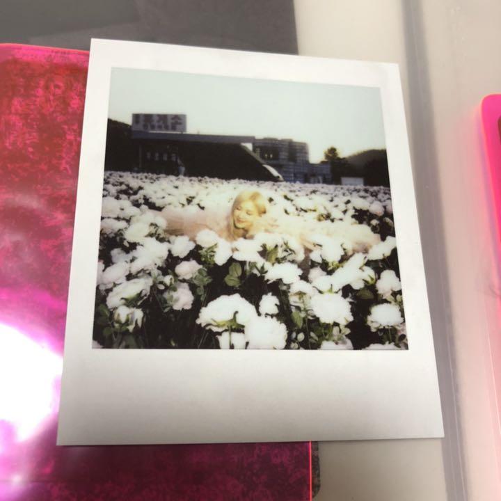 [USED] Rosé Polaroid