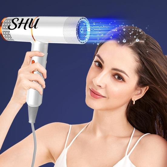 Hair Dryer with Salon-level Ion Technology Household 800W High-Power Blue Light Negative Care Blow Collagen-infused With Protection Women Men for Mute