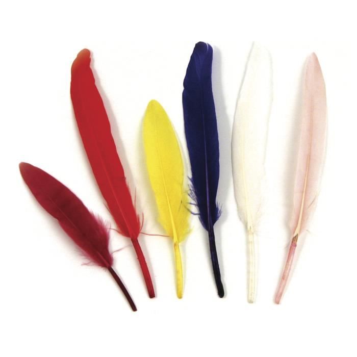 Indian Feathers - Assorted - 10.5 Cm - 24 Pieces - Durable - Ideal for DIY