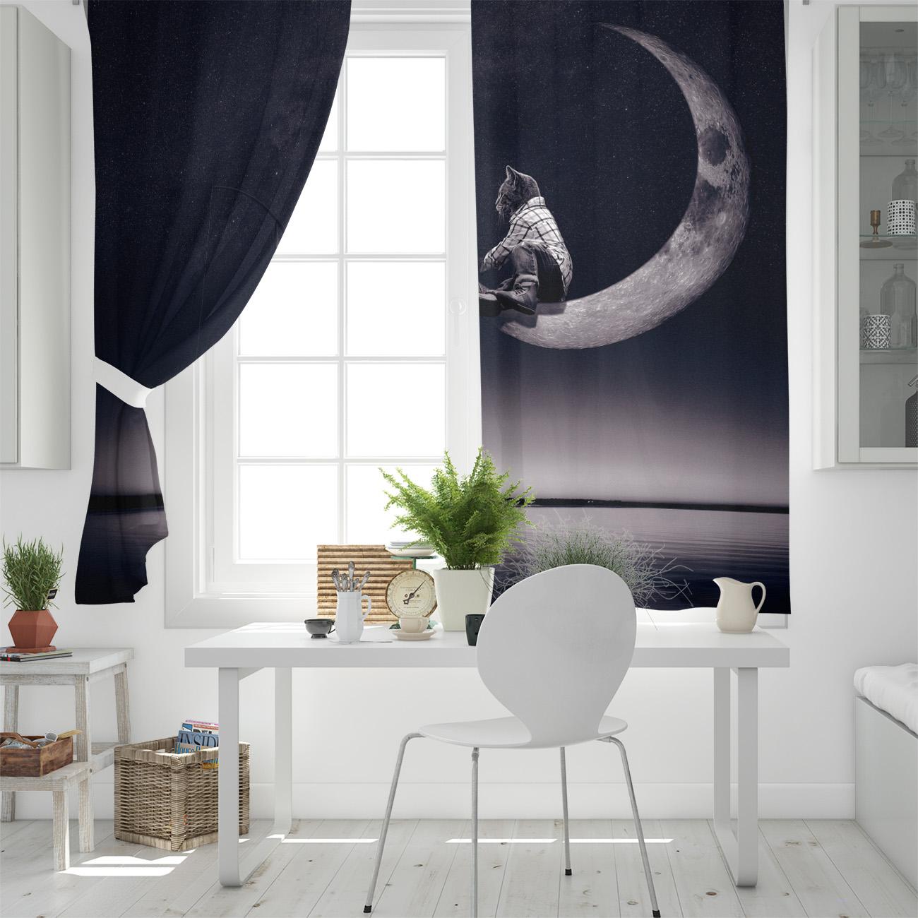 Милые фотографии животных — фото 4