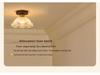 Chinese Style Luxury Corridor & Balcony Ceiling Light - French Retro Design