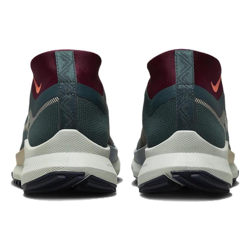 Nike Pegasus Trail 4 GORE‑TEX DJ7929‑302