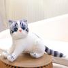 Siamese Cat Plush Toy: Early Education Comfort Gift for Children, Home Decor Ornament