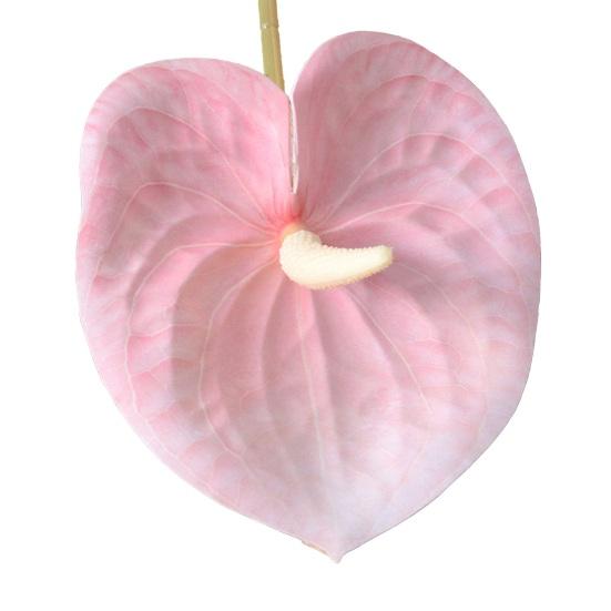 27,5" Umělé květy Anthurium se stonkem Falešná květina Výplň do vázy Real Touch Falešná květinová aranžmá pro střed stolu Svatba Domácí dekorace