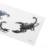 3D Spider Tatuering Scorpion Temporary Tattoo Stickers för Halloween Knepigt