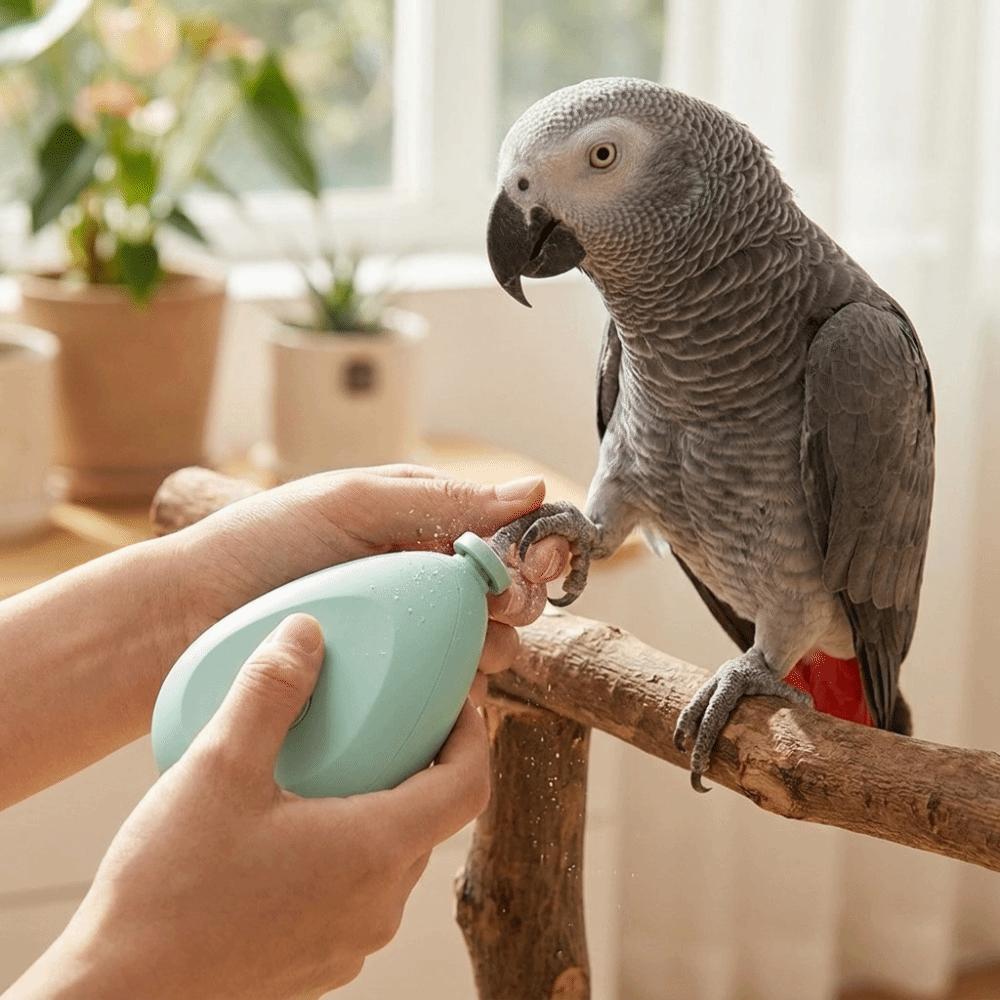 Taille-ongles électrique portable pour perroquet avec 4 têtes de polissage Coupe-ongles pour oiseau Toilettage d'animal de compagnie