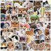10/50/100PCS Funny Cat Pets Meme Stickers Decal DI Y Scrapbook Suitcase Skateboard Laptop Graffiti Cute Animal Stickers Toy Gift