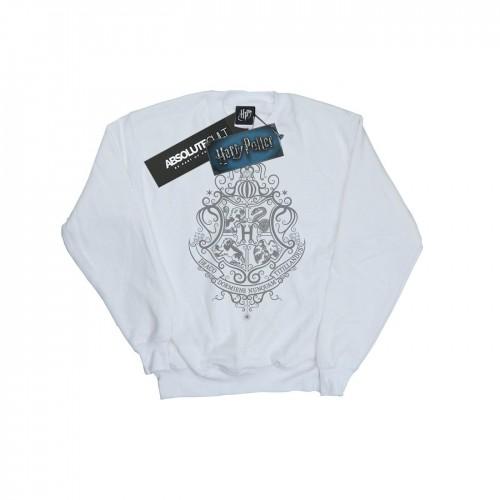 Harry Potter Mens Hogwarts Draco Dormiens Crest Sweatshirt