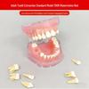 Dental Educational and Communication Model Set: Comprehensive, Removable, and Implant Restoration Models