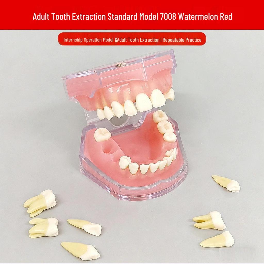 Dental Educational and Communication Model Set: Comprehensive, Removable, and Implant Restoration Models