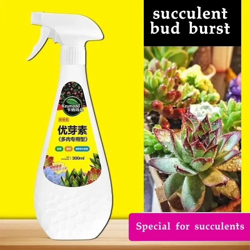 Sukulentní rostlina Eugenin podporuje rašení, zakrslý, zabraňuje vytahování, organické granule, sukulent a sukulent 300 ml