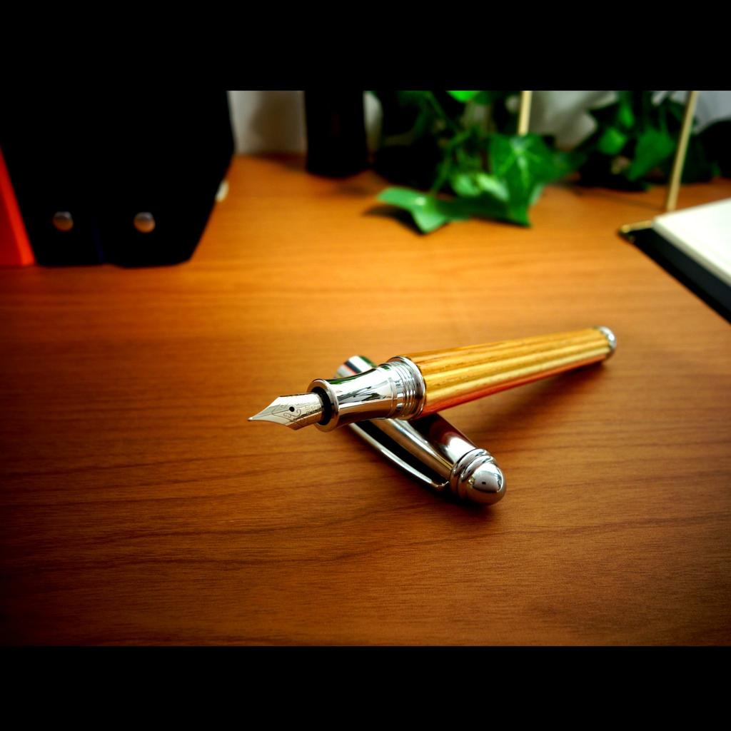 Exim Fountain Pen Fiorentina Superior F907-36