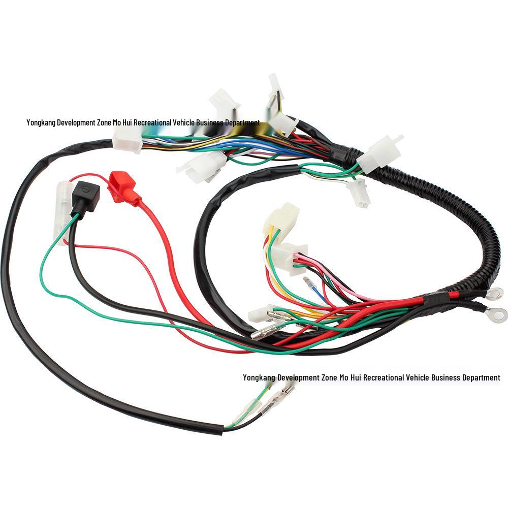 ATV/Quad 50-110CC Main Wiring Harness with Anti-Theft Function and Accessories