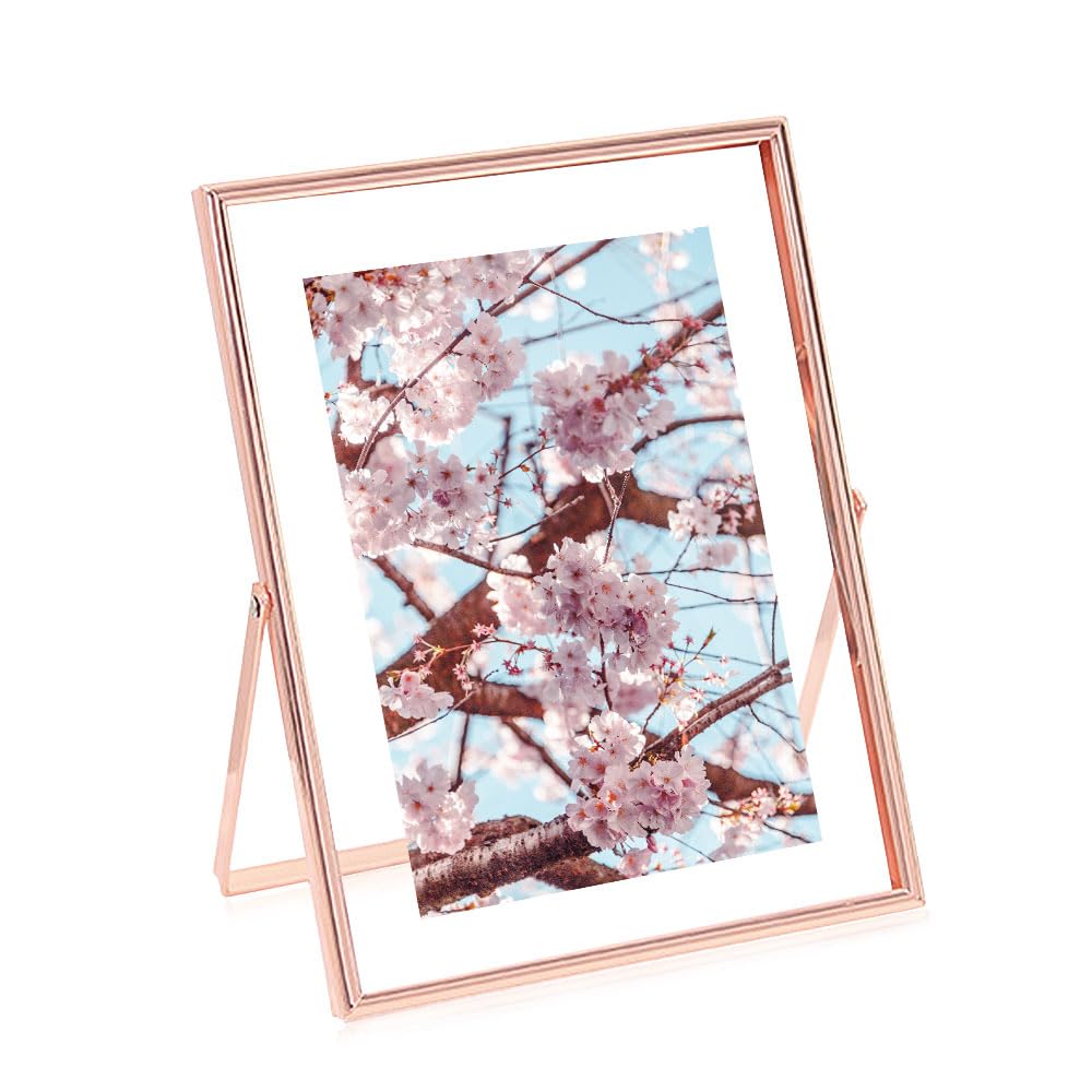 

SAEGYPET Металлическая фоторамка со стеклом Вертикальная настольная фоторамка Праздник Свадьба Домашнее украшение Регулируемый угол На подарок (Розовое золото, 15X20СМ)