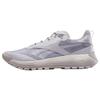 Dmx Trail GORE TEX 'Grey Stone Chalk' Sneakers 100200884