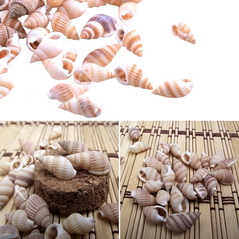 85PCS Natural Conch Shells Aquarium Decoration Party Festival Home Decor Natural Sea Beach Shell Conch Seashells For DIY Crafts