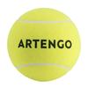 Decathlon ARTENGO Теннисные мячи Акриловое волокно, Полиамидное волокно Тренировочный мяч Тренировочный Неоново-желтый