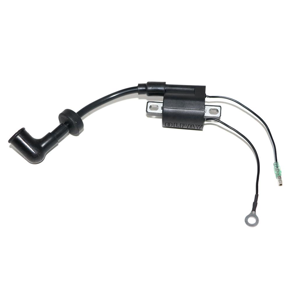 6E0-85570 Zündspule Mit Kappe Für Yamaha Bootsmotor 2 Hub 4HP 5HP Parsun Powertec SEAPRO etc 5HP 6E0-85570-00;6E0-85570-10