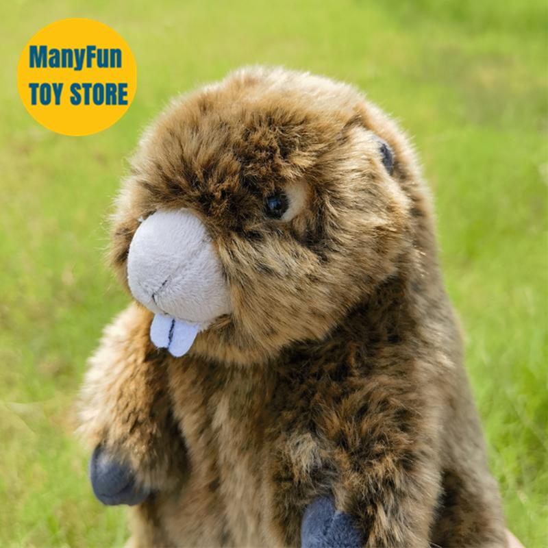 Groundhog Plush Toy, Lifelike Marmot Stuffed Animal, Realistic Land Beaver Plushie, Grassland Chuck Simulation Doll Gift