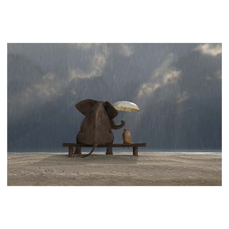 Kreatywny słoń morze zachód słońca Modern Art Home Decoration obraz na płótnie Wall Art obraz dekoracja ścienna w tle