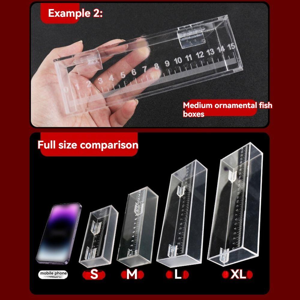 Portable Transparent Fish Viewing Box Micro Landscape Rectangle Desktop Goldfish Bowl Mini Dustproof Fish Breeding Tanks Snails