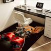 Boxing Chihuahua Chair Mat: Office Carpet, Oversized Rug for Home Decor, Sofa Mat, Gift Idea for Any Room