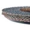 SATA 55401 Flap Sanding Disc