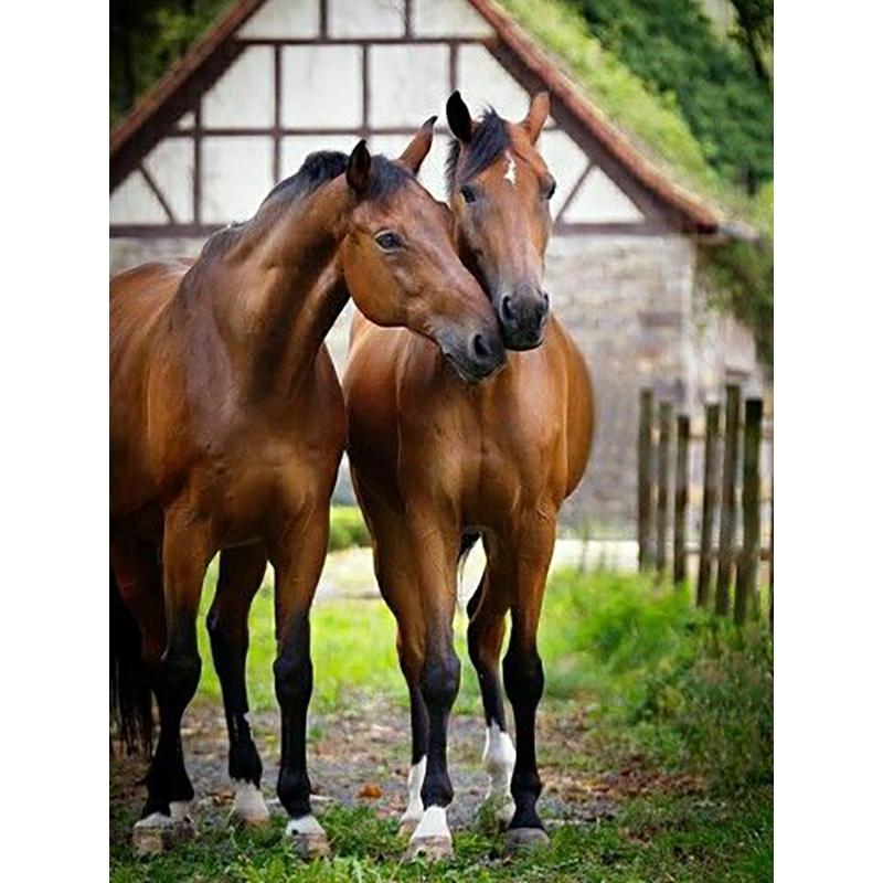 At DIY 5D Elmas Boyama Tam Yuvarlak Matkap Hayvan Elmas Nakış Çapraz Dikiş Mozaik Kitleri Reçine Duvar Sanatı Ev Dekor