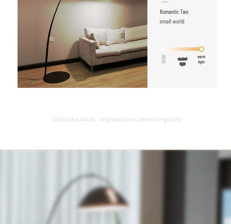 Nordic Minimalist Floor Lamp - Eye-Care Bedside & Sofa Fishing Lamp for Living Room