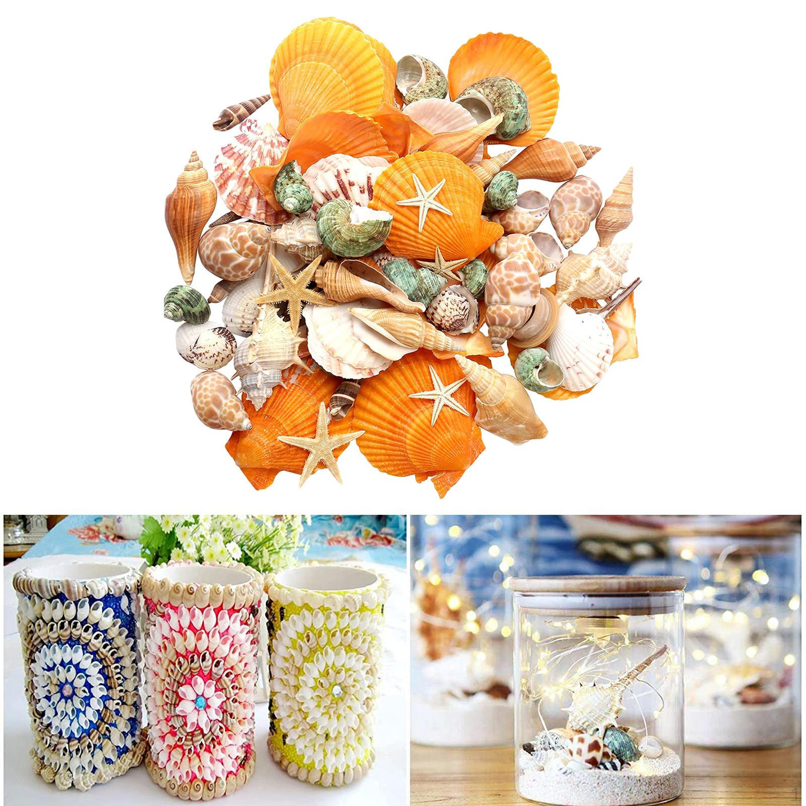

Freshwater Saltwater Aquarium Terrarium Sea Theme Shells Ornament Landscape Fish View Wedding