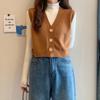 Korean-Style V-Neck Knit Vest for Women - Autumn/Winter Collection
