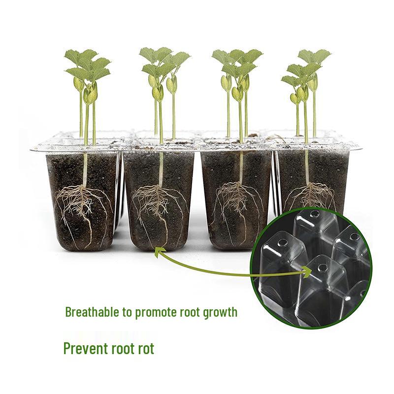 6/12-Hole Breathable Seedling Tray for Home Vegetable Planting and Care