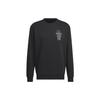 Sweatshirts Men's Black Crew Neck Moderate Regular IX4910