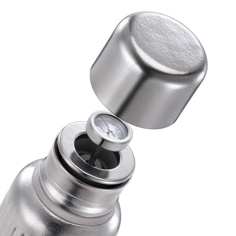DESLON Pure Titanium Insulated Thermos with Temperature Display
