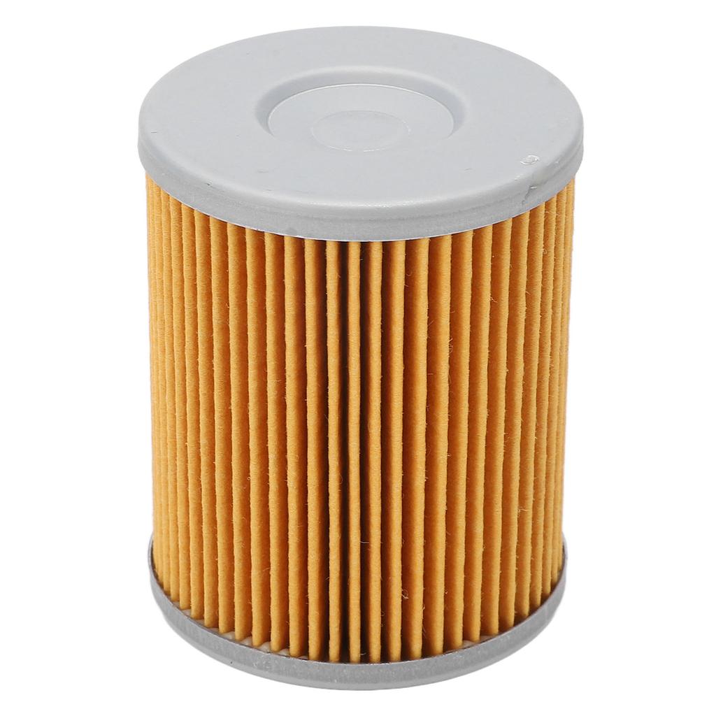 Engine Oil Filter Cylindrical Engine Fuel Filter Replacement for RYKER Ally Edition 900 ACE