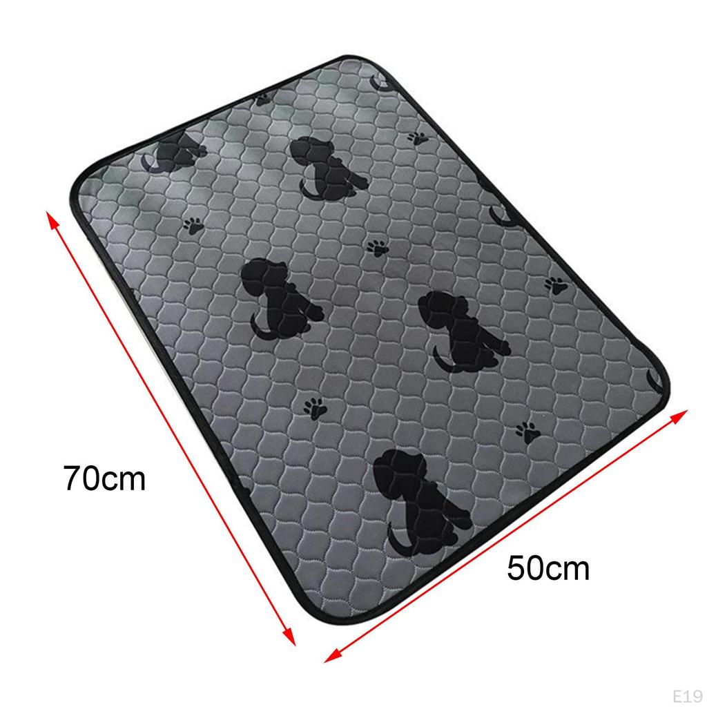 Comfortable And Training Mat for Dogs, Making Crawl