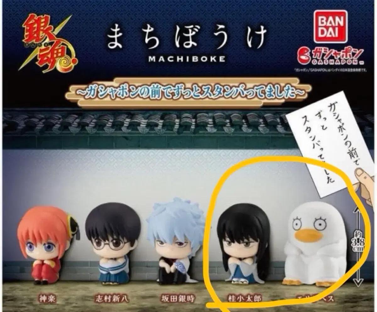 

Gintama Machiboke 1st series 2 types (wig, Elizabeth) Used