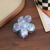 French Atmosphere~ Fairy Transparent Flower Hairpin Grab Clip Female Advanced Sense Back Head Shark Clip