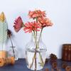 Glass Vase Decorative Bouquet Holder Transparent Floral Arrangement Flower Pots for Party Festivals