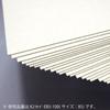 KOKUYO File Board Cover K2 A4 100 Sheets K2Sei-EA4-100