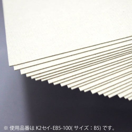 KOKUYO File Board Cover K2 A4 100 Sheets K2Sei-EA4-100
