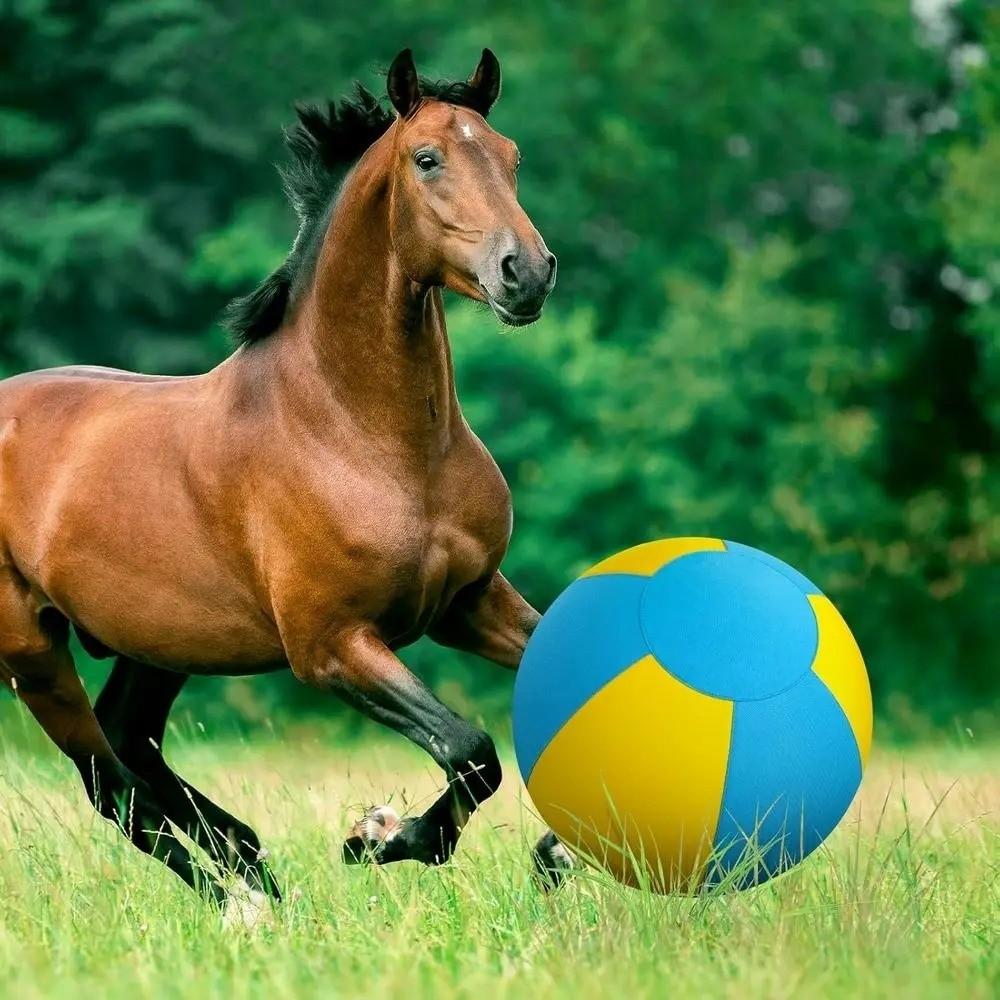 Anti-Scratch Dog Giant Toy Ball Large Grazing Ball Interactive Dog Ball  Outdoor Training