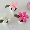 Flowers Hand-Knitted Lily Potted Delicate Crochet Woven Flowers Pot Gift Room Home Decoration