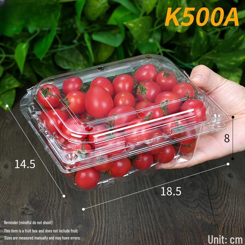 Disposable Round Fruit Container - K500A