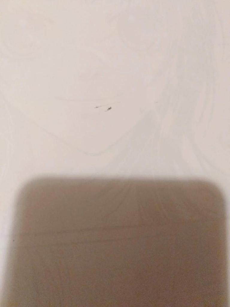 [USED] Illustration Collection Ribbon Manga School Reproduction Collection No.6