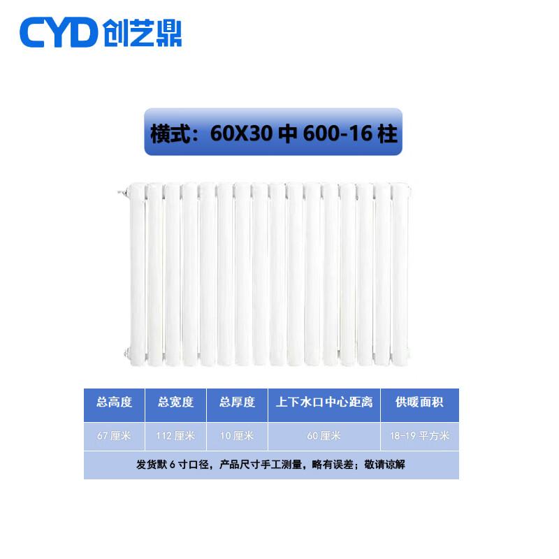 Chuang Yi Ding Steel 6030 Two-Column Hot Water Radiator